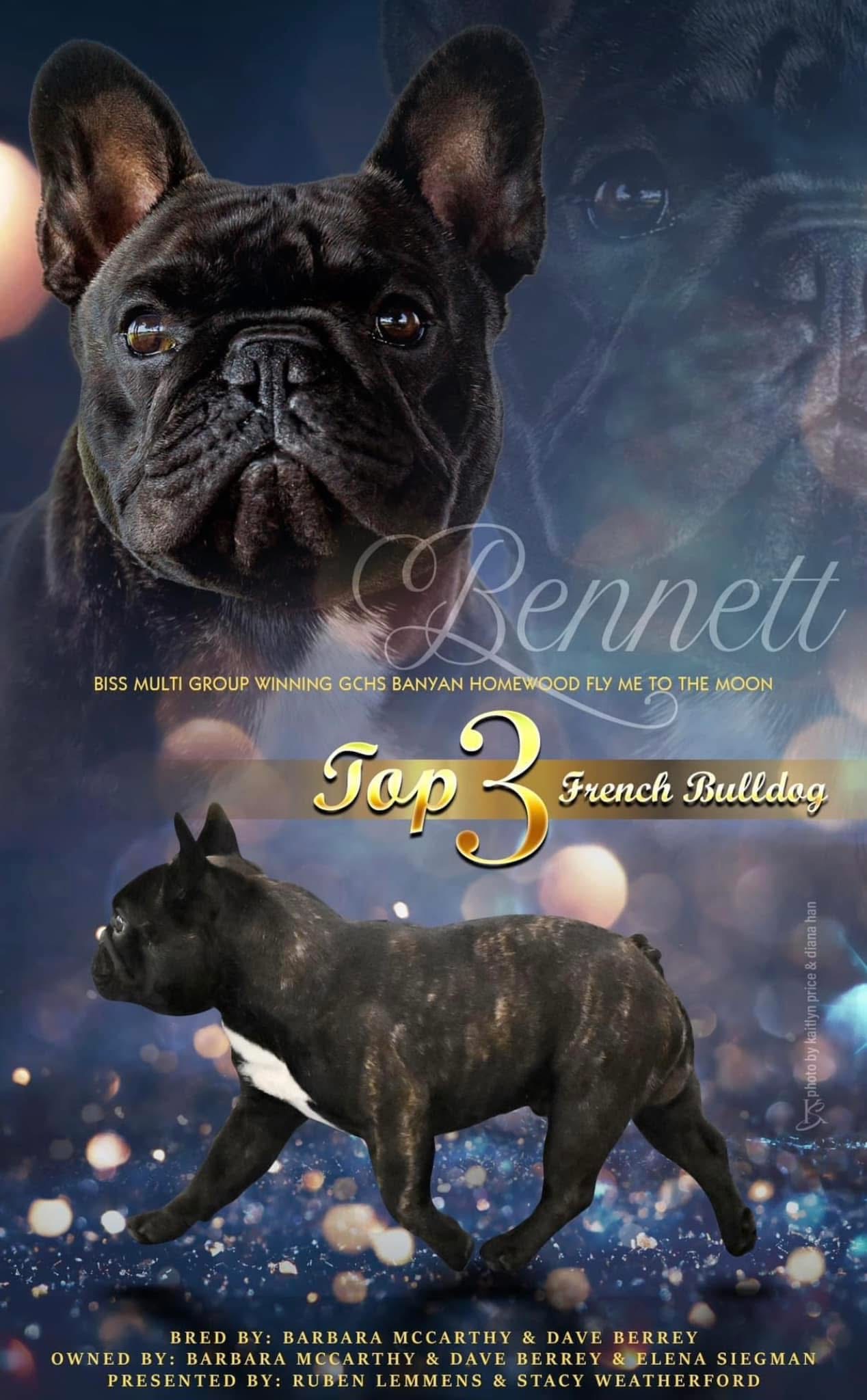 Bennett