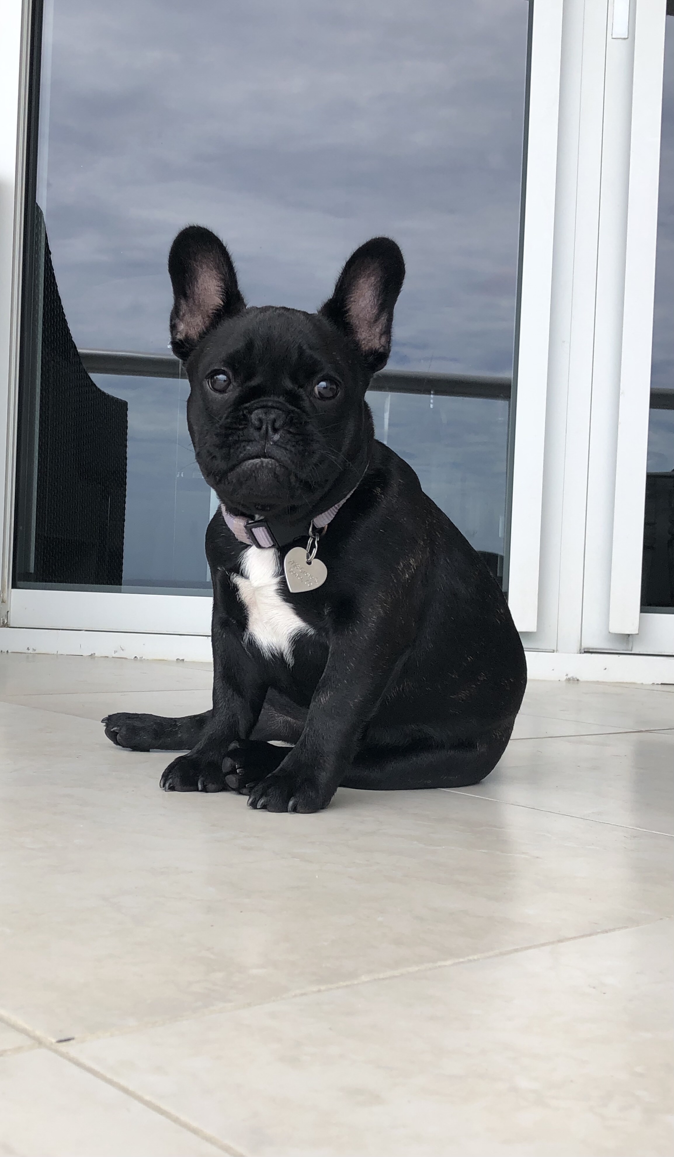 Remy