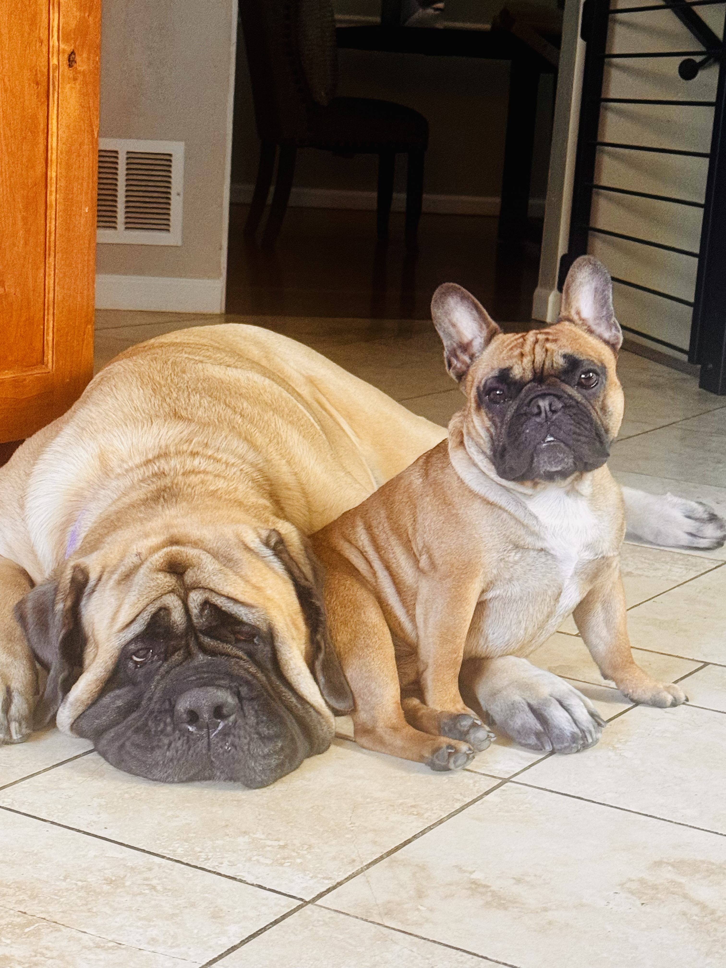 Theo and Bridie